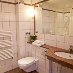 Hotel Westend 3* Стандартный номер с различными типами кроватей фото 14