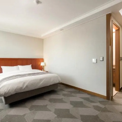 Hotel Vision 3* Номер Делюкс с различными типами кроватей