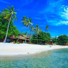 Отель Koh Tao Beach Club 3* Номер Делюкс с различными типами кроватей фото 16