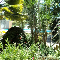 Aparta Hotel Bruno