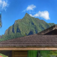 Отель Village Temanoha 3* Бунгало с различными типами кроватей фото 8