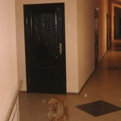 Hostel Brestnik Брестник интерьер отеля