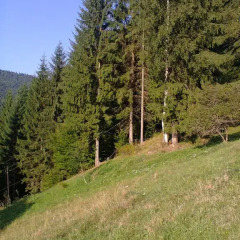 Отель Krutogora Буковель фото 9