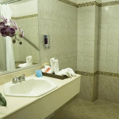Отель Airport Hotel Costa Rica Коста-Рика, Алахуэла - отзывы, цены и фото номеров - забронировать отель Airport Hotel Costa Rica онлайн ванная