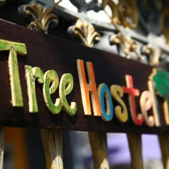 Отель Tree Hostel Bangkok Таиланд, Бангкок - отзывы, цены и фото номеров - забронировать отель Tree Hostel Bangkok онлайн гостиничный бар