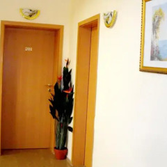 Отель Guest House Vienna спортивное сооружение