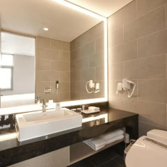 Mayplace Seoul Dongdaemun Hotel 4* Люкс фото 3