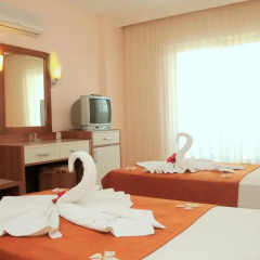 Aral Hotel Side удобства в номере фото 3