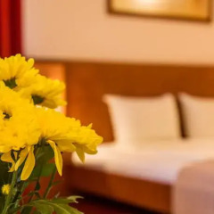 Hotel Villa Boyana комната для гостей фото 5