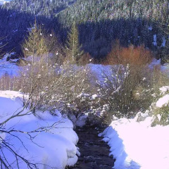 Hotel Murrerhof Сарентино фото 2