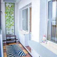 Гостиница Safari Apartament в Барнауле отзывы, цены и фото номеров - забронировать гостиницу Safari Apartament онлайн Барнаул балкон