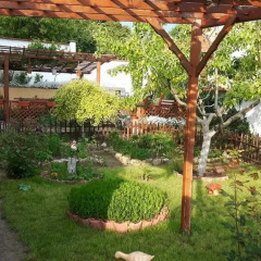 Отель Guesthouse Nikolovi Болгария, Генерал-Кантраджиево - отзывы, цены и фото номеров - забронировать отель Guesthouse Nikolovi онлайн фото 6