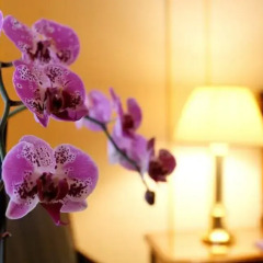 Hotel Le Plaza Brussels 4* Стандартный номер с разными типами кроватей фото 4
