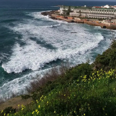 Отель Blue Star Ericeira фото 2
