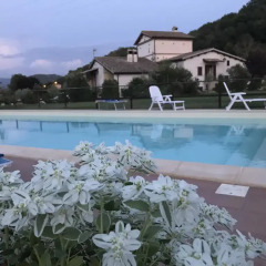 Отель B&B La Torretta Сполето бассейн