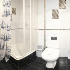 Nevskij Ryad-Pushkinskaya Mini-Hotel Санкт-Петербург ванная