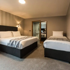 Springfield Hotel 3* Стандартный номер с разными типами кроватей фото 3