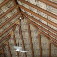 Отель Bungalows Tree Tops 5* Люкс с различными типами кроватей фото 6
