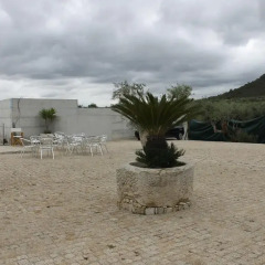 Отель Casal da Porta - Quinta da Porta пляж