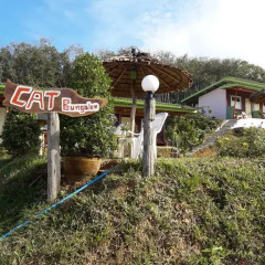 Отель Cat Bungalow Ланта фото 11