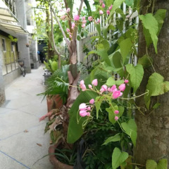 Отель BaanNueng@Kathu