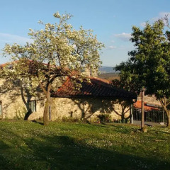 Отель Casa Dos Muros фото 8