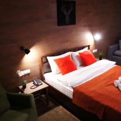 LiKi LOFT HOTEL 3* Номер Делюкс с различными типами кроватей фото 7