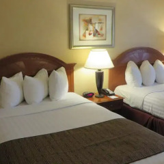 Отель Best Western Hollywood Plaza Inn 2* Стандартный номер с 2 отдельными кроватями фото 3