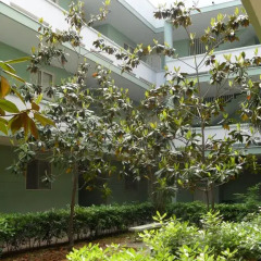 Отель Bilocali Baia Verde