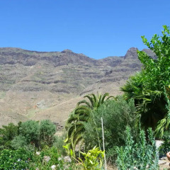 Отель Finca Tomás y Puri фото 3