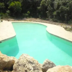 Отель Rental Villa Son Favar бассейн