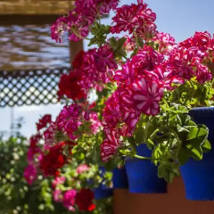 Отель Mi Casa en Córdoba фото 6