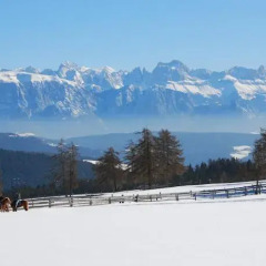 Отель Oberfahrerhof Терлано