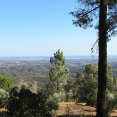 Отель Quinta da Idalina пляж