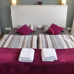 Отель Bluedanube Apartments Австрия, Вена - отзывы, цены и фото номеров - забронировать отель Bluedanube Apartments онлайн комната для гостей фото 4