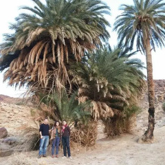Отель Madaba Private Home Experience – Fadi’s Home Stay Иордания, Мадаба - отзывы, цены и фото номеров - забронировать отель Madaba Private Home Experience – Fadi’s Home Stay онлайн пляж фото 2