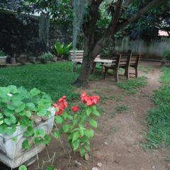 New negombo beach hostel фото 8