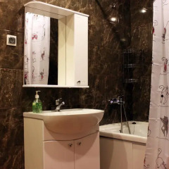 Апартаменты Apartment Academia na Nauki 15 ванная