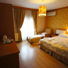 Flower Palace Hotel 3* Стандартный номер с различными типами кроватей фото 9
