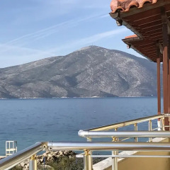 Hotel Alba-Gert фото 3