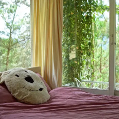 Отель Pine Hill Homestay Dalat детские мероприятия