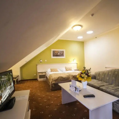 Spa Hotel Cajkovskij Palace 4* Стандартный номер фото 7