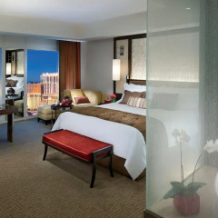 Отель Waldorf Astoria Las Vegas 5* Стандартный номер с различными типами кроватей фото 5