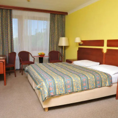 Hotel Krakonoš 3* Стандартный номер с различными типами кроватей фото 2
