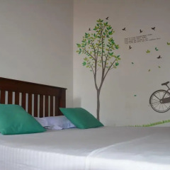 Отель Olive Tree Guest House Стандартный номер с различными типами кроватей фото 5