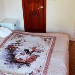 Hotel Elina Сочи комната для гостей фото 4