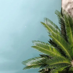 Отель Dar Zen пляж