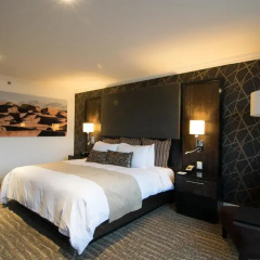 Hotel Lucerna Ciudad Juarez 4* Стандартный номер с различными типами кроватей фото 9