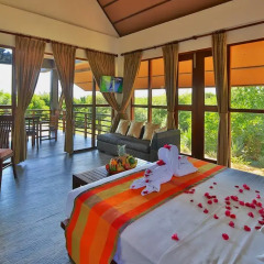Отель Laya Safari 4* Стандартный номер с различными типами кроватей фото 9