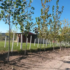 Отель Cabañas Yakaira Сан-Рафаэль детские мероприятия